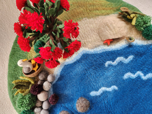 Pōhutukawa & Coastline Treasures - Storytelling Playscape