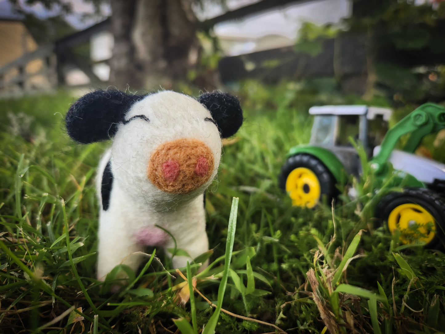 Candice the Calf - Felted Cow Toy in grass paddock with toy tractor