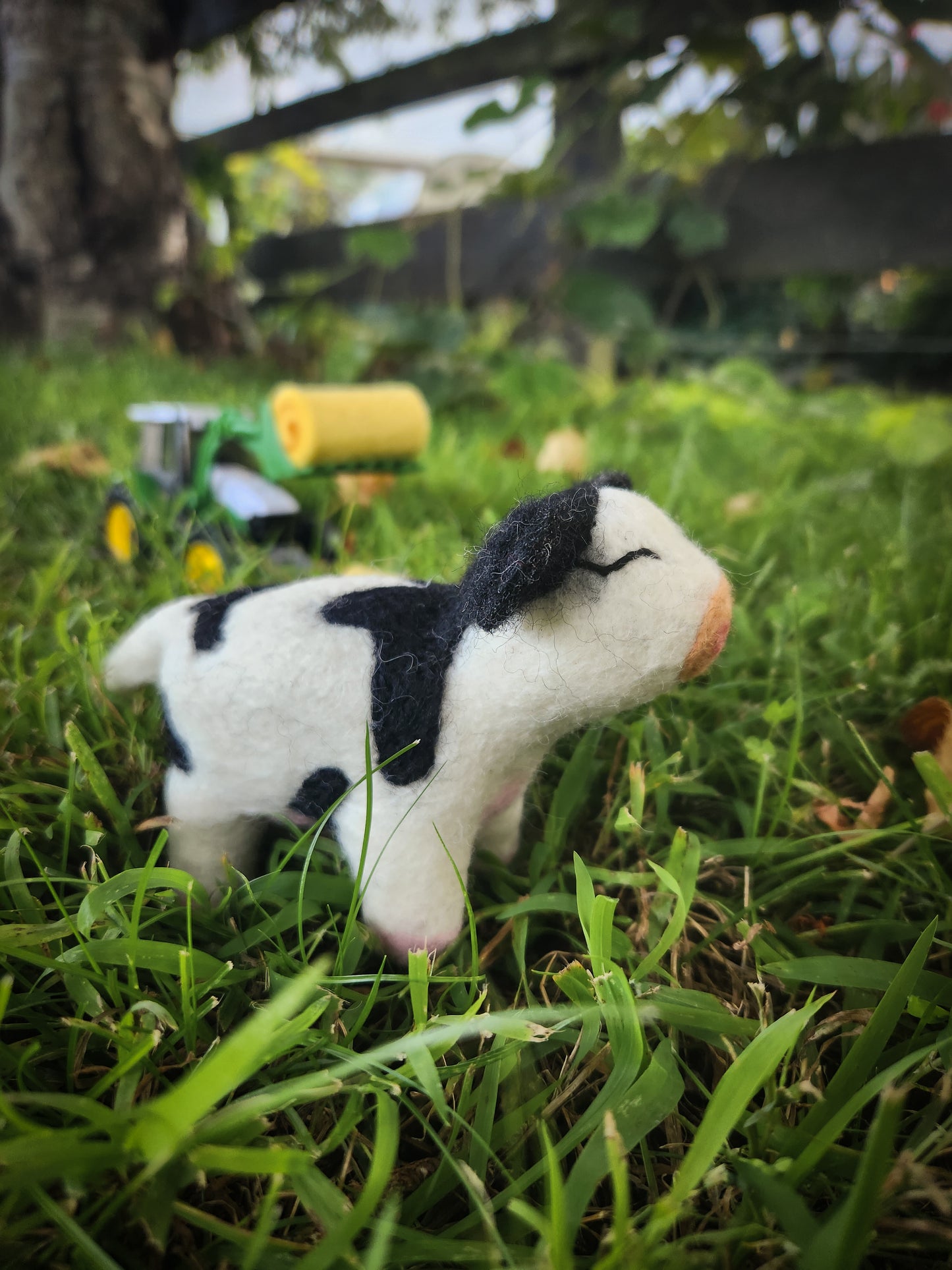 Candice the Calf - Felted Cow Toy in grass paddock with green toy tractor