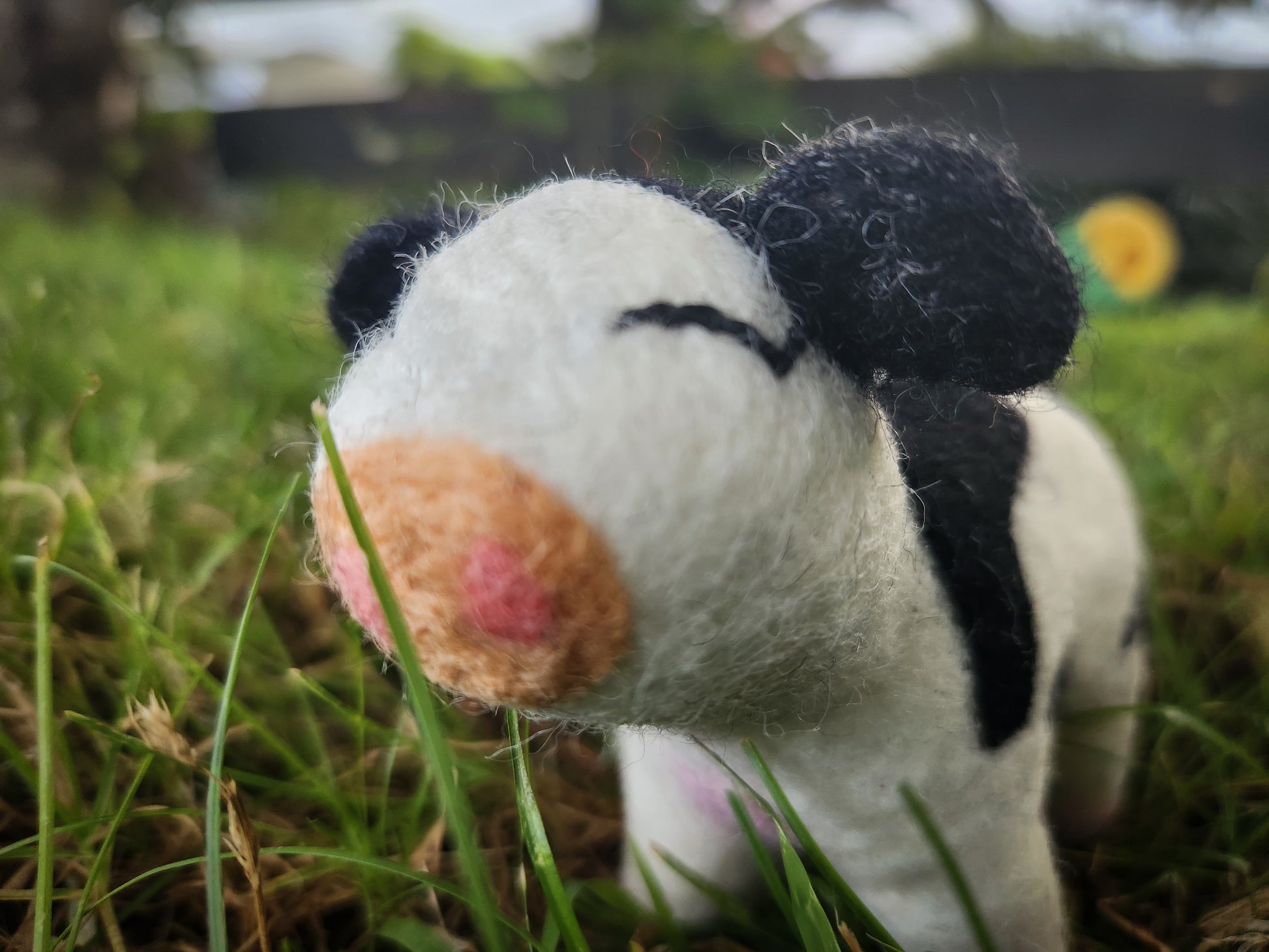 Candice the Calf - Felted Cow Toy close up of cows nose/face