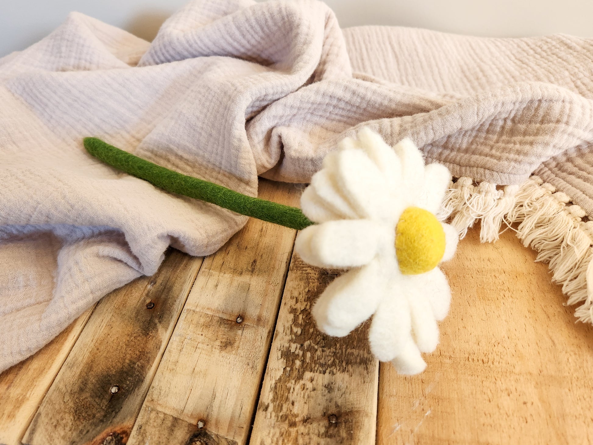 FELT FLOWERS - DAISY