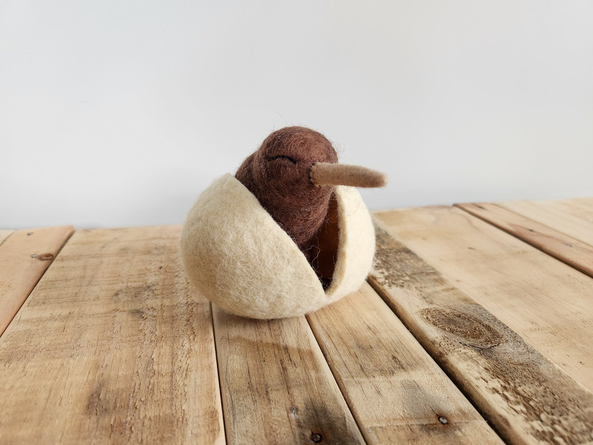 Felted Baby Kiwi Toy in hollow egg