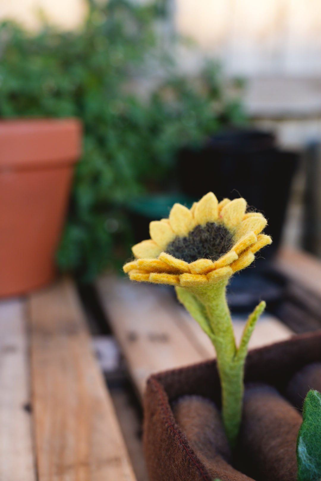 Felted  Sunflower in toy vegetable garden