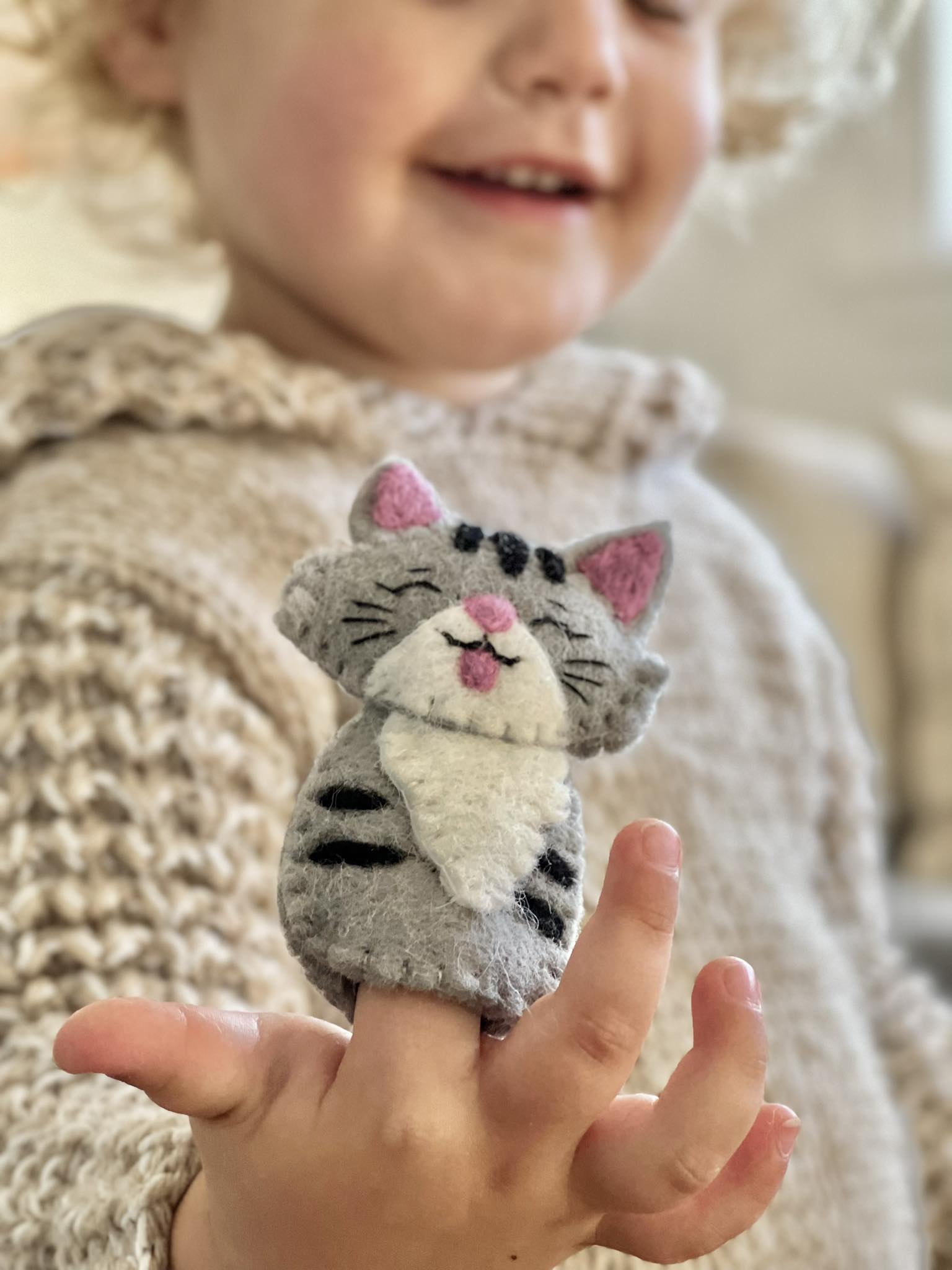 OLD MACDONALDS FARM FELT FINGER PUPPET TRACTOR BAG SET YOUNG BOY AND FELT CAT PUPPET