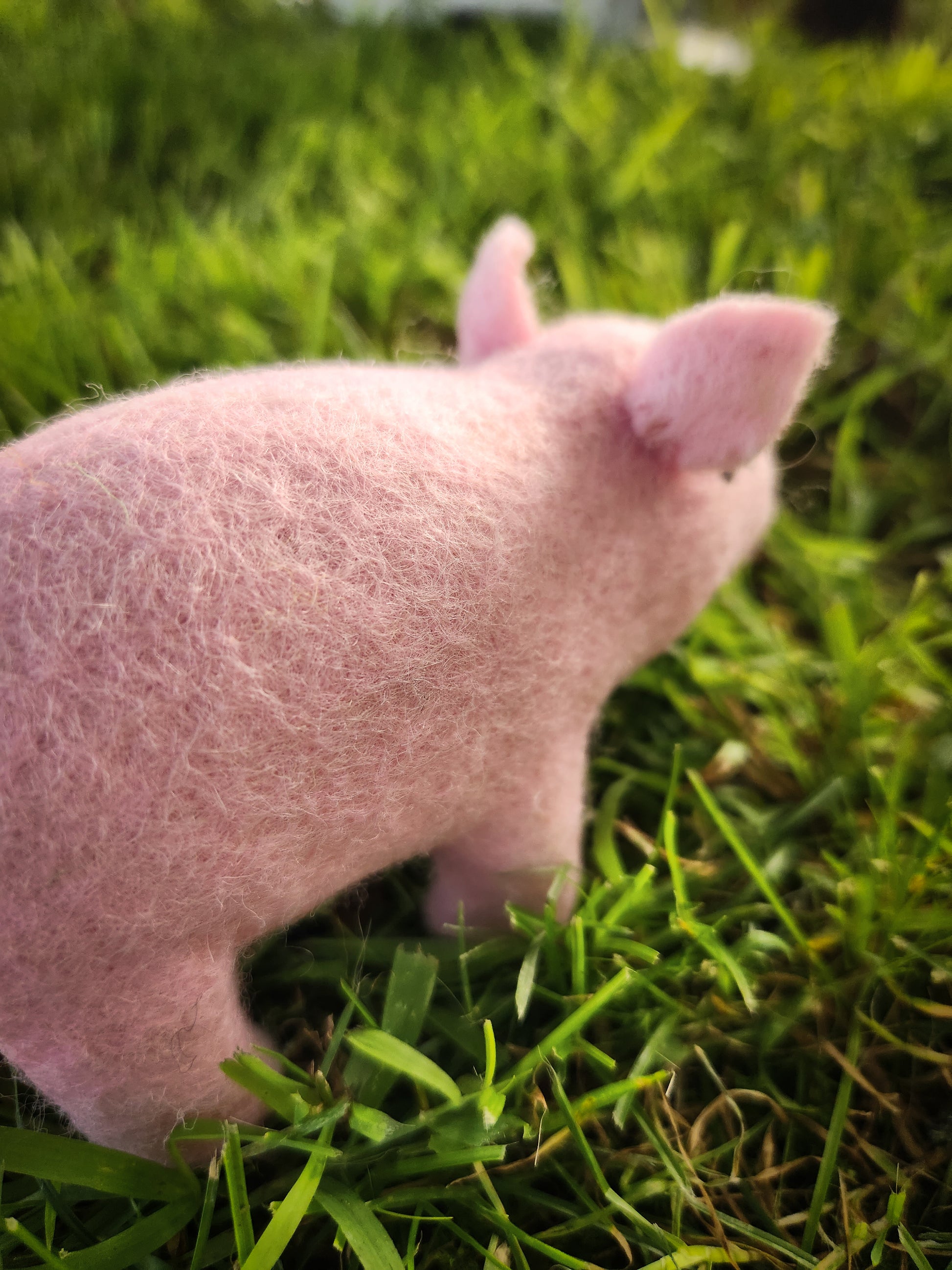 Pippa the Pig - Felt Toy Pig in grass