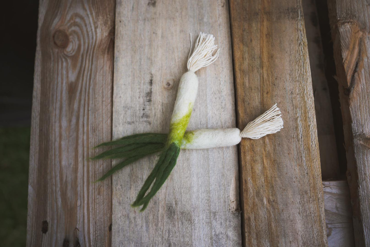 WHOLESOME HARVEST PLAY FELT GARDEN TOY SET SPRING ONION