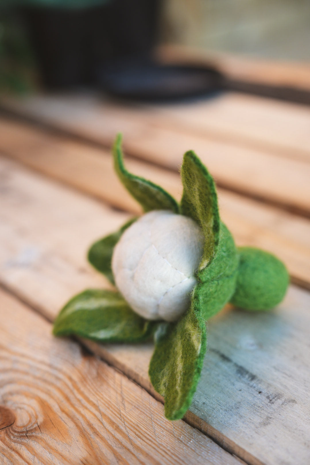 Felted Cauliflower play toy on outdoor garden bench