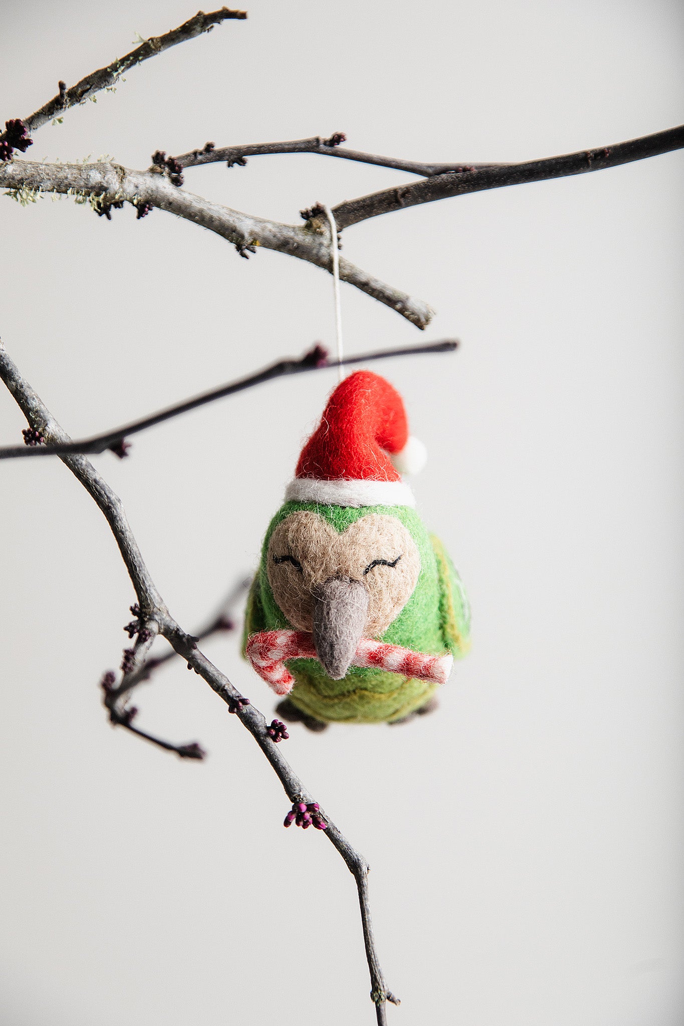 Kirihimete Kākāpō - Kids in Need Felted Wool Decoration