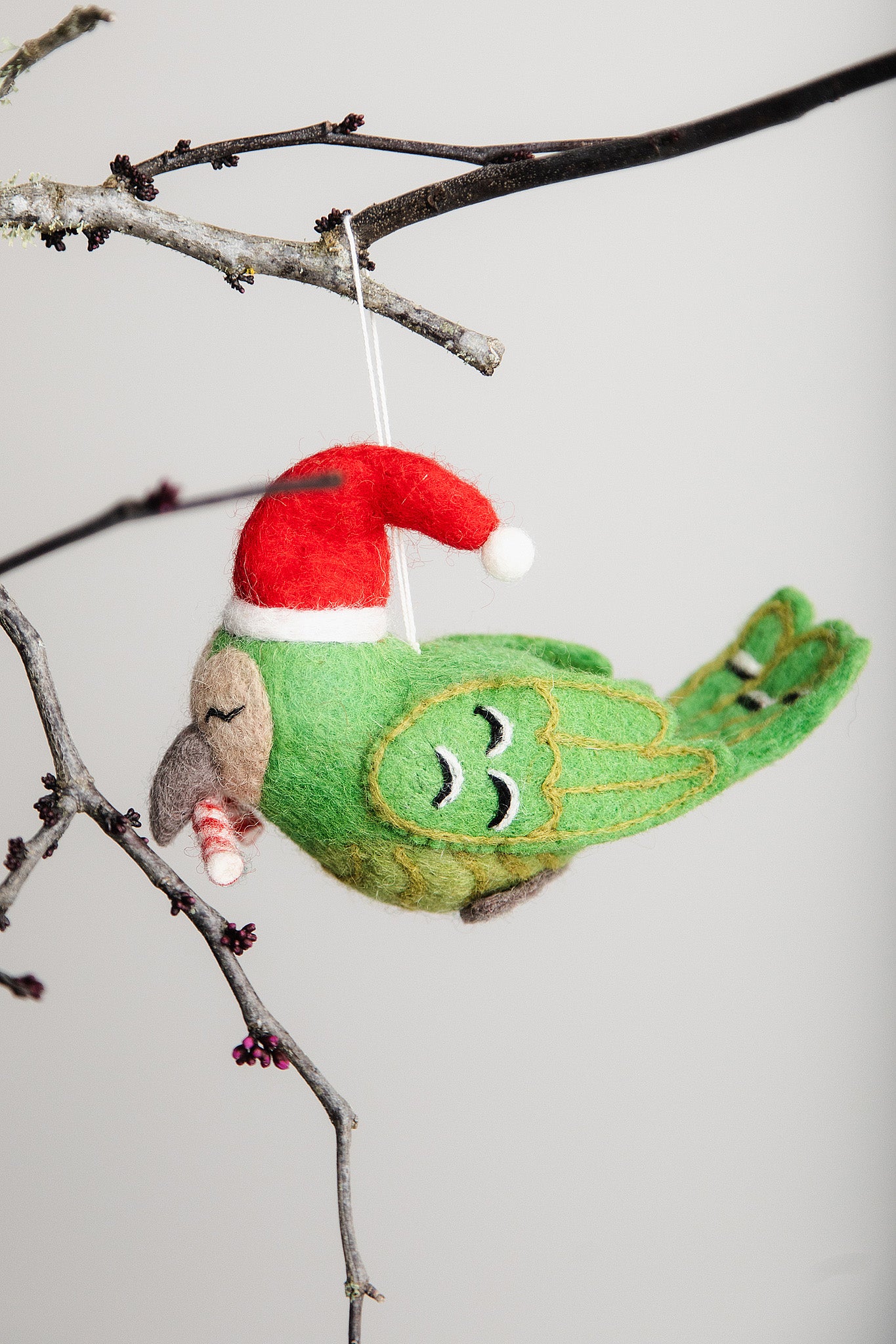 Kirihimete Kākāpō - Kids in Need Felted Wool Decoration