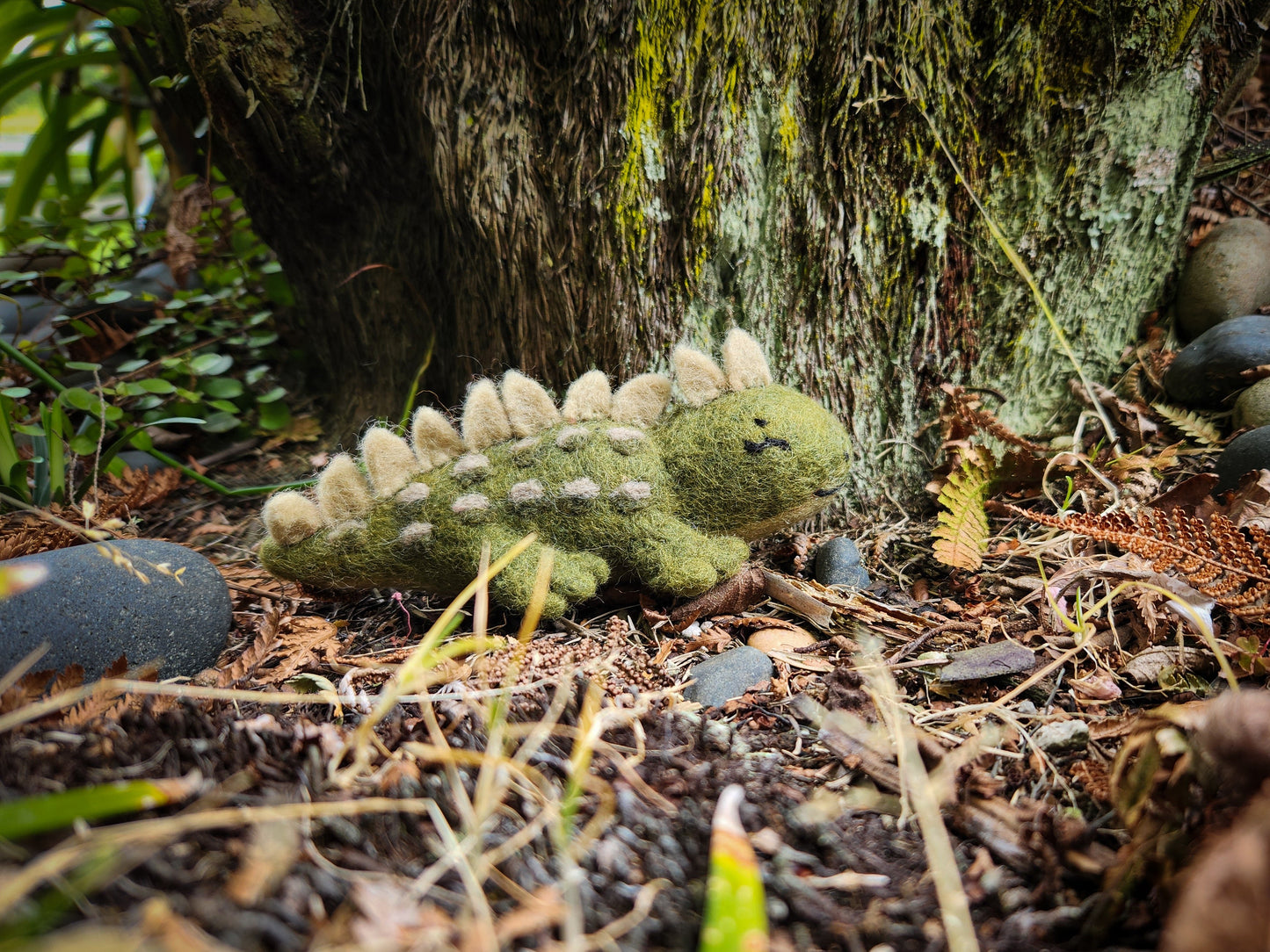 Tuatara