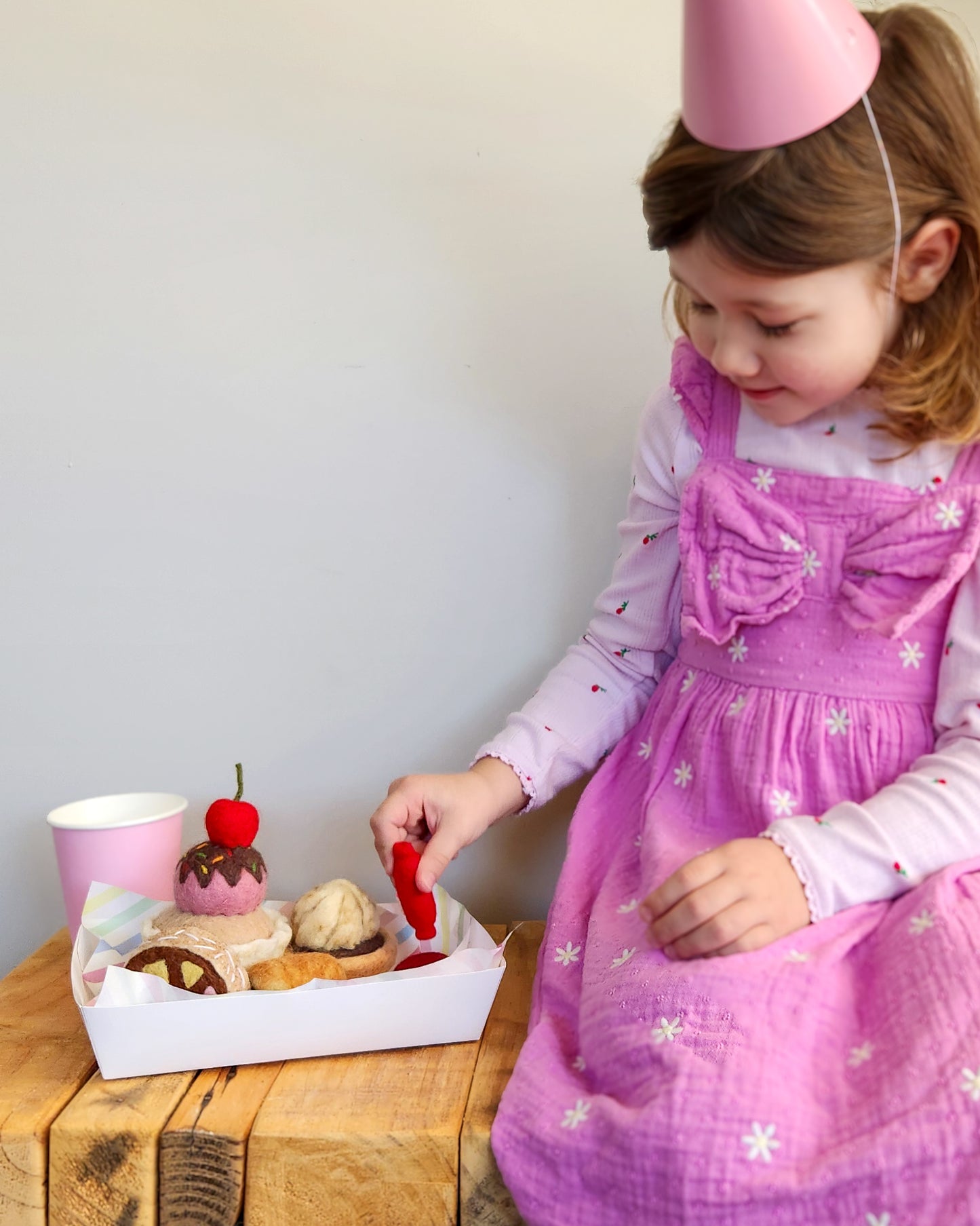 The Little Kiwi Party Pack - Felt Food Set