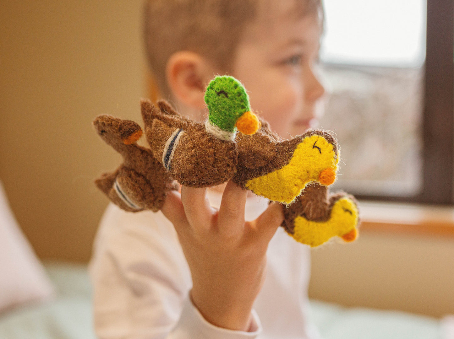 FIVE LITTLE DUCKS FELT FINGER PUPPET SET YOUNG BOY HOLDING DUCK PUPPETS