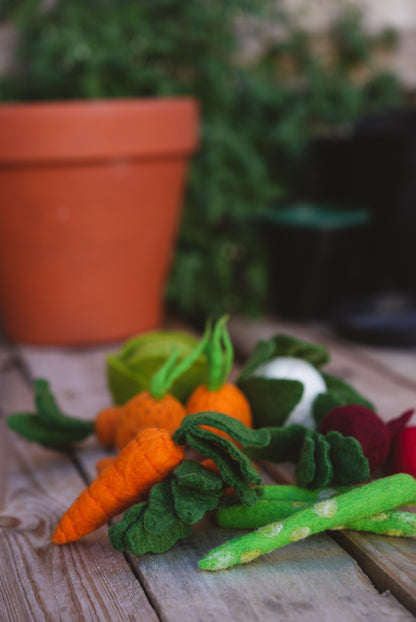 WHOLESOME HARVEST PLAY FELT GARDEN TOY SET FELT GARDEN VEGETABLES ON OUTDOOR WORKBENCH