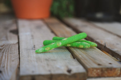 Felt Asparagus Play toy on wooden bench