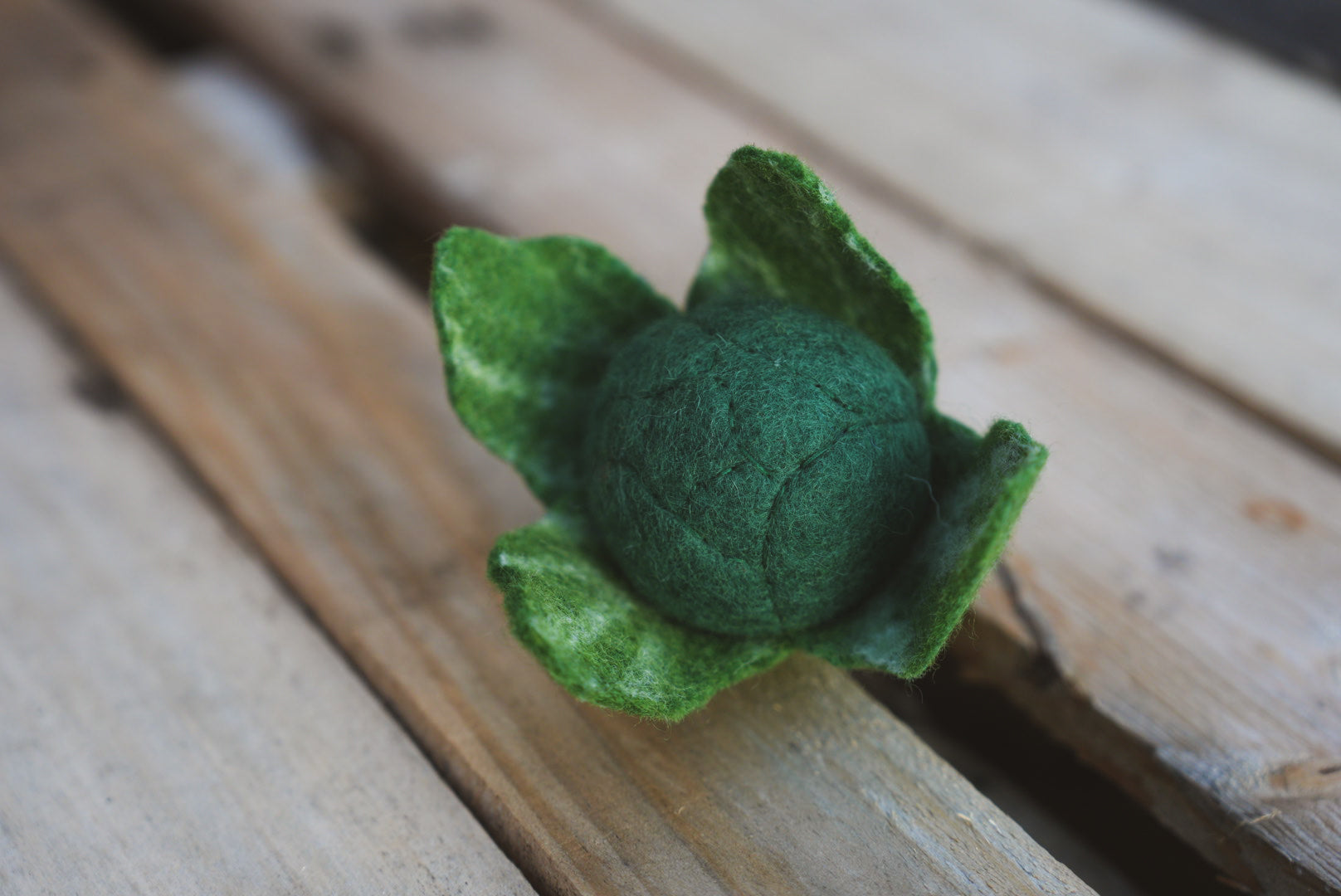 Felt Broccoli  play toy on wooden bench