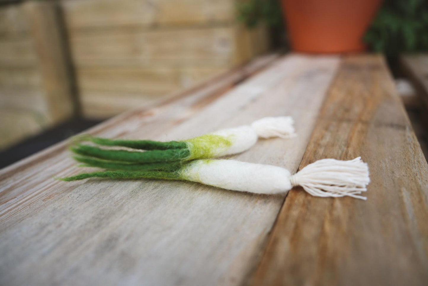 Felted Spring Onion - Garden play toy