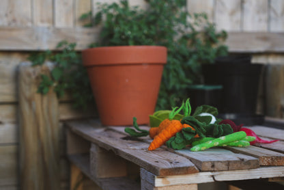 Felt vegetable play toys on outdoor wooden bench